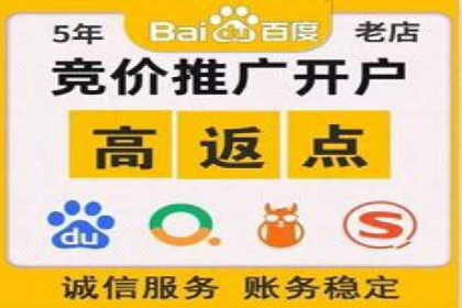 竞价广告在XX行业的成功应用案例